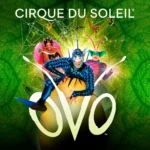 Cirque du Soleil: OVO